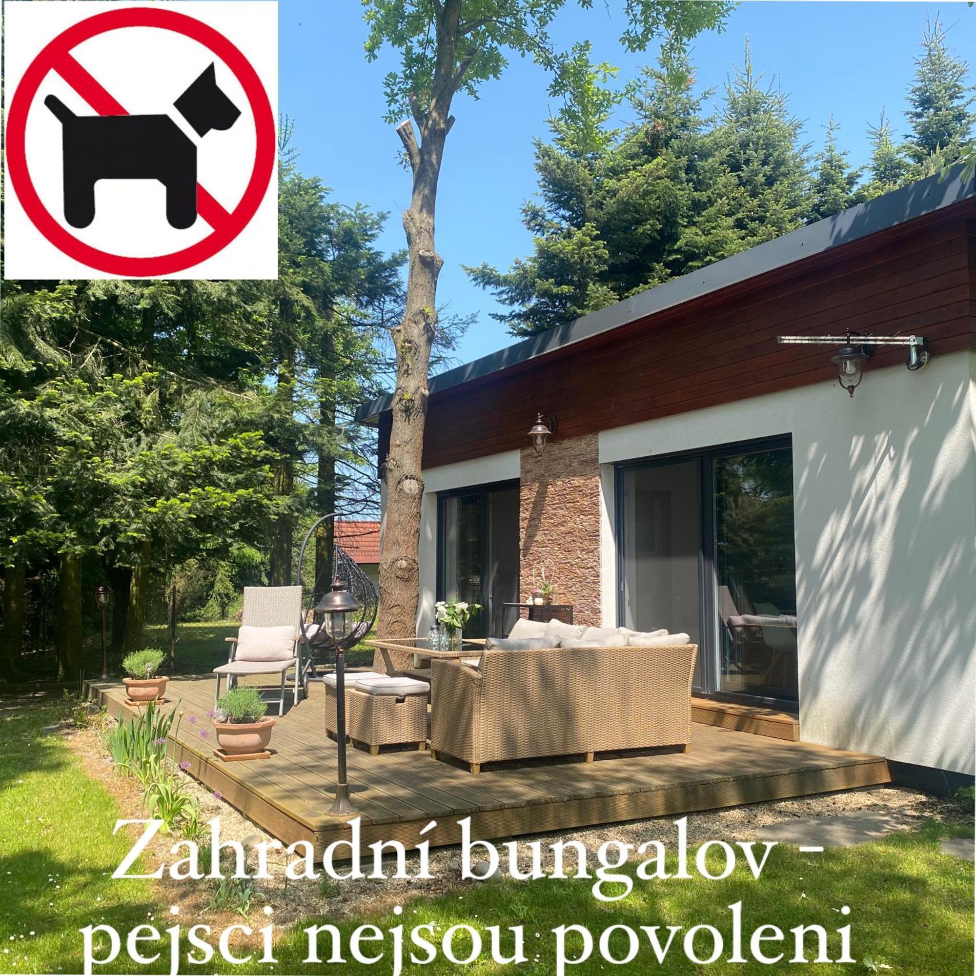 Vila Evio Třeboň Rum bild