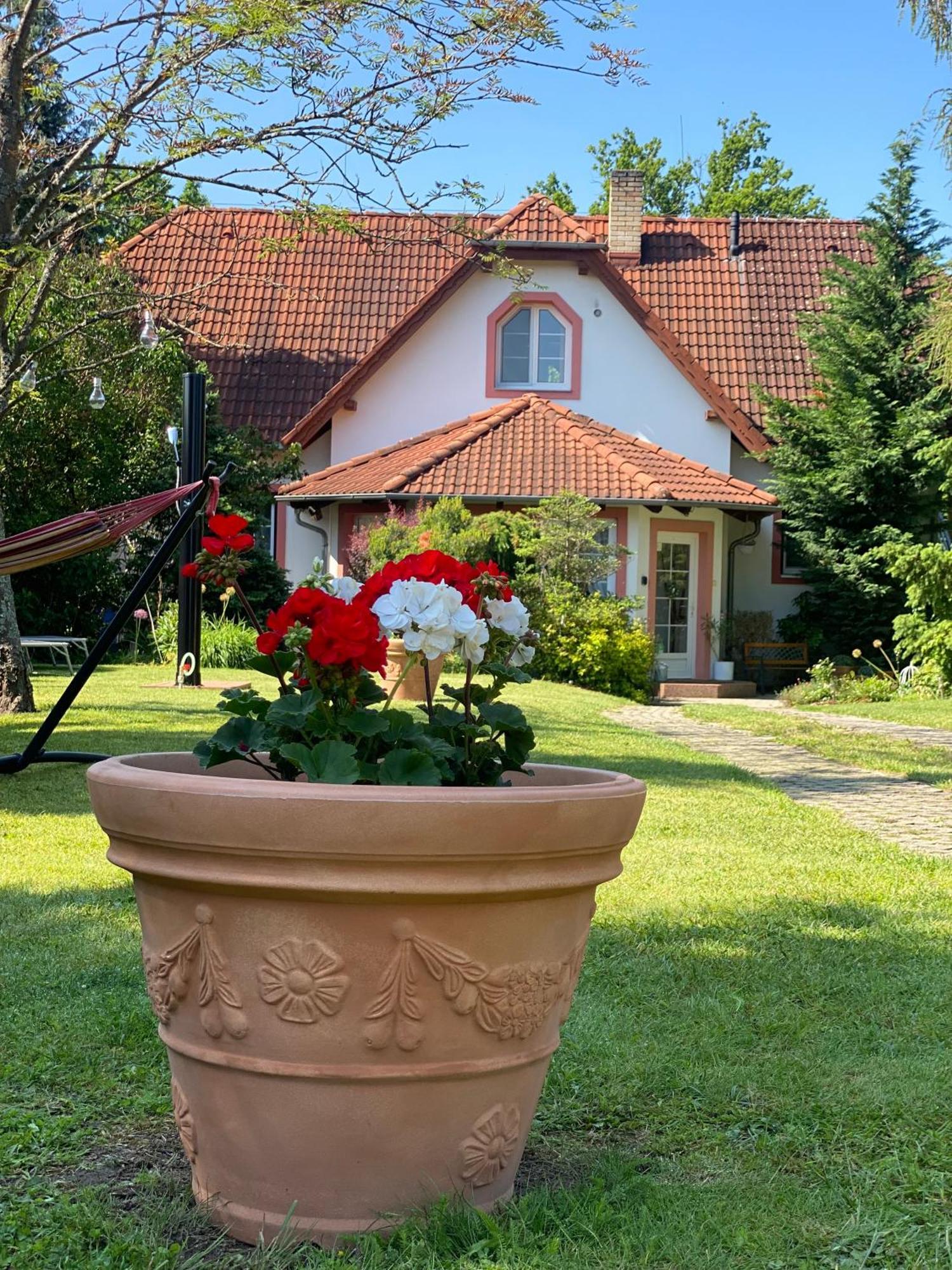 Vila Evio Třeboň Exteriör bild