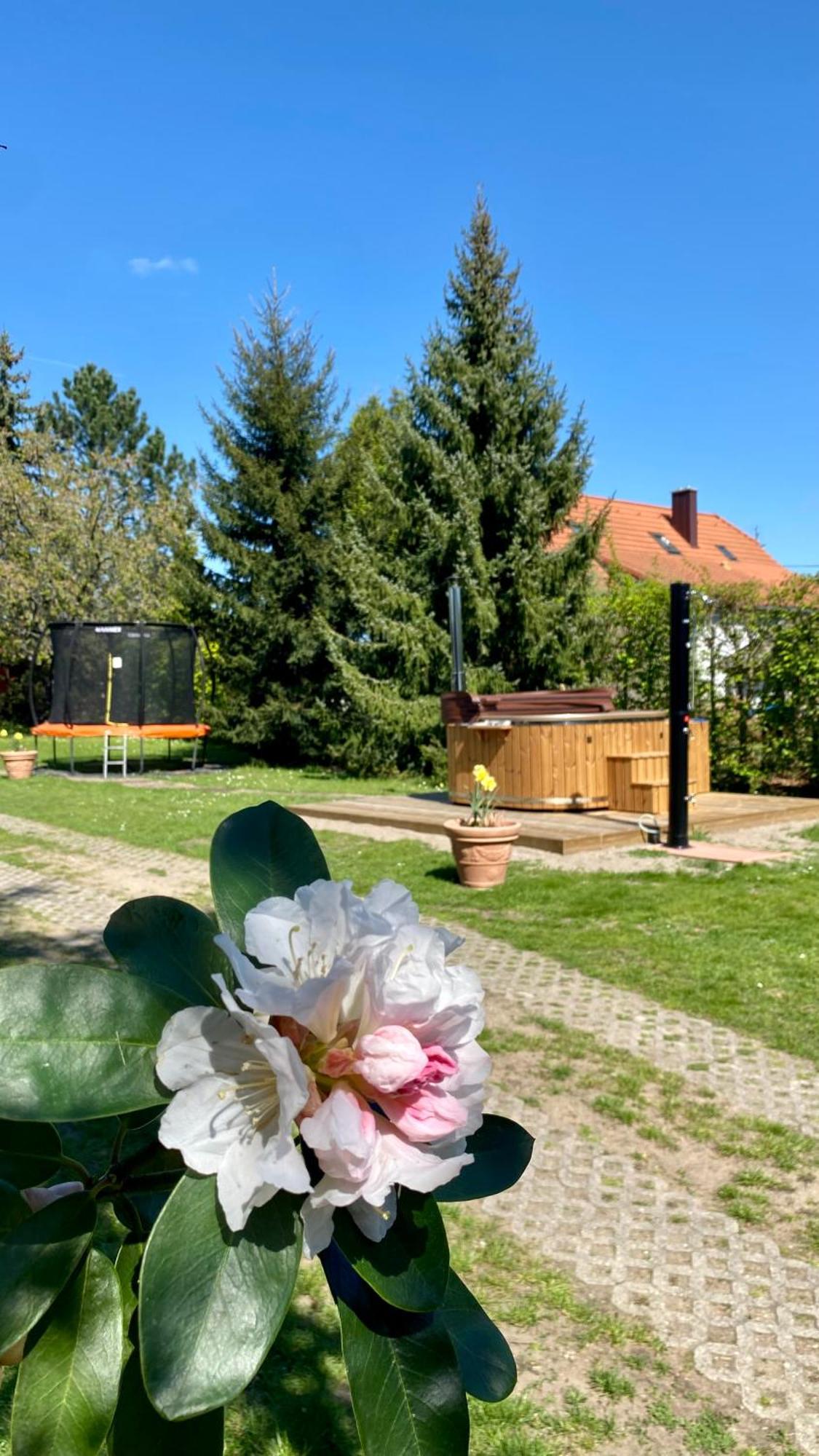 Vila Evio Třeboň Exteriör bild